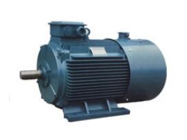 變頻調(diào)速電動機(jī)
